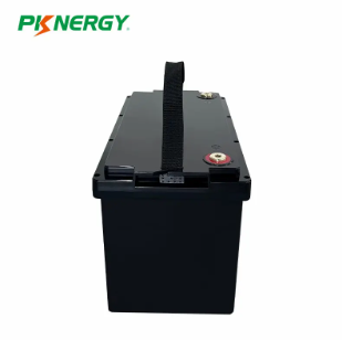 Batería PKCELL LiFePO4 12V 100Ah (LFP12-100) | 6000 Ciclos para Kits Solares Grandes y Almacenamiento